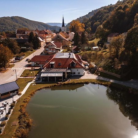 Отель Kozjanski Dvor Подчетртек Экстерьер фото