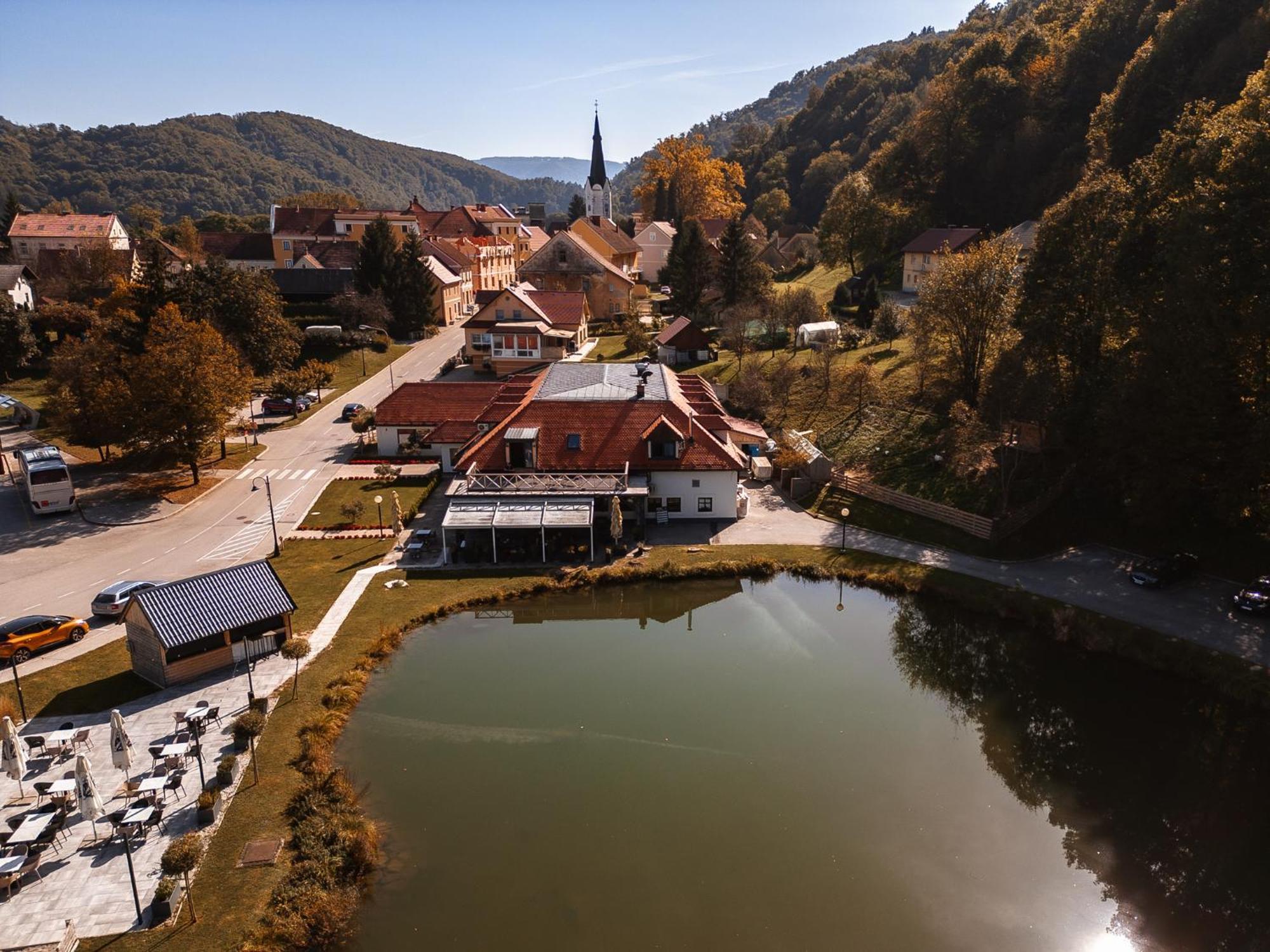 Отель Kozjanski Dvor Подчетртек Экстерьер фото